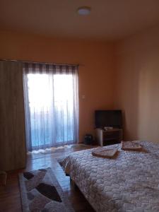 Ohrid Strict Center Apartment