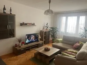 Rekreační byt 3+1 - Špičák