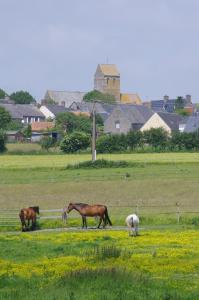 Maisons de vacances Cosy ferme de village en baie du Mont Saint Michel : photos des chambres