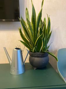 Apartamentai Ornamentai