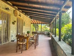 Terra di Mezzo - 卡索莱德尔萨