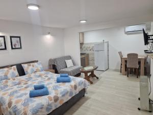 Zed apartman Leskovac