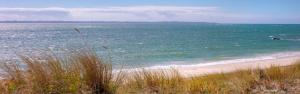 Appartements REF 236 - LARMOR-PLAGE type 2 avec 3 balcons pleine vue mer et au pied du centre : photos des chambres