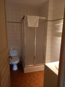 Hotels Hotel de la Halle : Chambre Simple