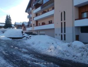 Appartements Studio coeur de station de Praz de Lys 1500m : photos des chambres