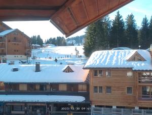 Appartements Studio coeur de station de Praz de Lys 1500m : photos des chambres