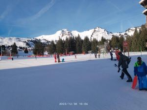 Appartements Studio coeur de station de Praz de Lys 1500m : photos des chambres