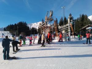 Appartements Studio coeur de station de Praz de Lys 1500m : photos des chambres