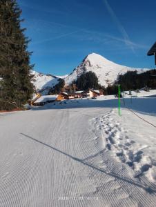 Appartements Studio coeur de station de Praz de Lys 1500m : photos des chambres