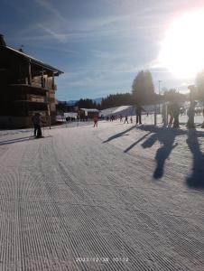 Appartements Studio coeur de station de Praz de Lys 1500m : photos des chambres