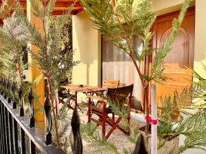 VivereFelix - Modus Operandi - Amisianá