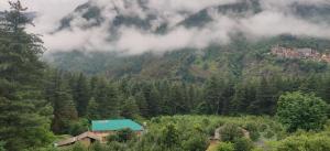 SOMVAN COTTAGE ,Away from city hustle