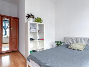 small one-bedroom apartment Achilles in Dietla 57 (2nd floor)