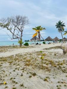 La Isla Tropica