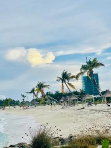 La Isla Tropica
