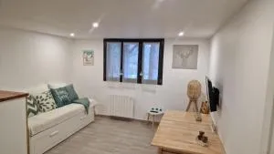 Ariège, agréable T2 en bord de rivière - Vicdessos