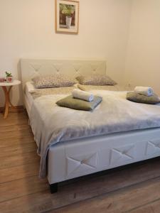 Apartma in Wellness Dalija