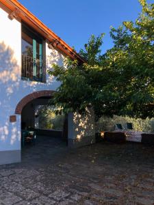 "Alle Montanine" Sughera