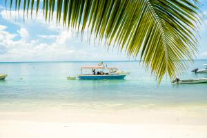 Tropical Beach House