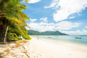 Tropical Beach House