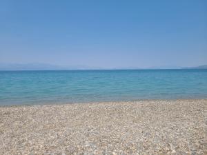 An Oasis By The Beach