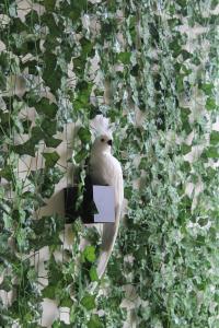 Temple Paradise Luxury Suites 6 Min From Beach