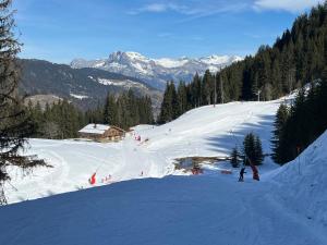 Appartements Praz sur Arly - proche des pistes et de Megeve : photos des chambres