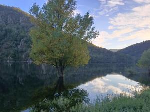 Maison Aveyron avec Piscine bord de Lac
