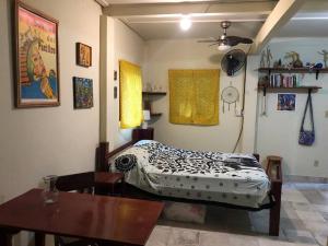 Birds Nest Studio Apartment