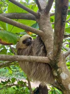 Birds Nest Studio Apartment