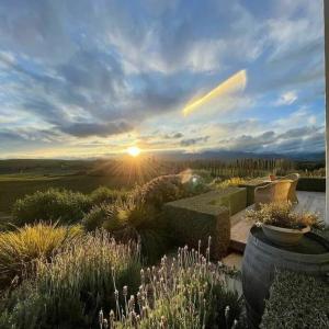 obrázek - Luxury cottage with stunning vineyard views