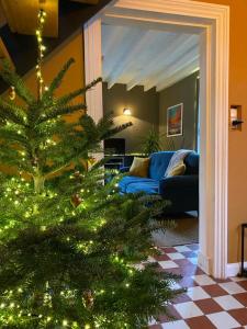 Maisons de vacances 22 : photos des chambres