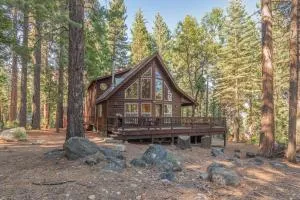 Bear Territory - Tamarack