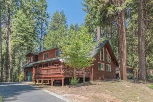 Wolf Den - Dorrington