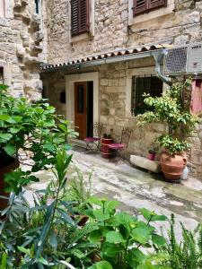 Apartment Venus of the Palace - NEW RENOVATED
