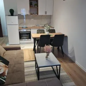 Apartman 5 FREE PARKING - Temerin