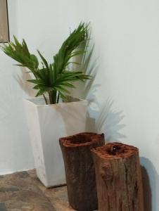 Trang Doans homestay