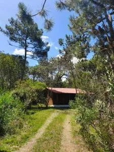 Doha, paraíso mar y bosque - 19 de Abril