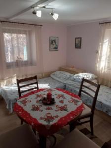 Lovely studio in Dragoman with garden and garage