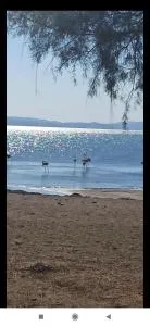 Angel's Houses - Skála Polikhnítou