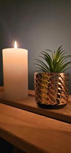 Sous les toits de Saint Valery En Caux - situé sur le port de plaisance-