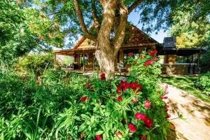 Zion's Cabin and Boujee Barn - Kanab