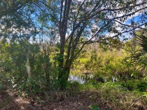 The Signature Orange Grove Suite