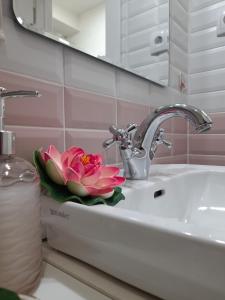 Apartman Talija