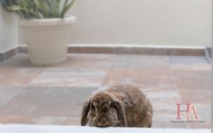 Hospedaje Aldana Apartamento AURA Centro Histórico