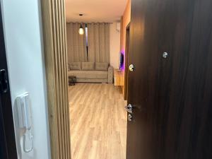 De Lux Nedeljkovic President