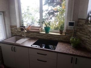 Vyshenka Guest House