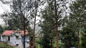 jacaranda resorts
