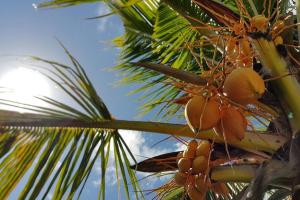 Villa Citronella - 5 Bedrooms 3 Bathrooms