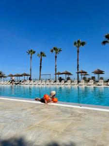 Appartements CASA MARE : photos des chambres